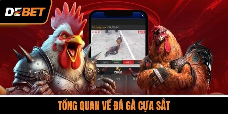 Đá Gà Cựa Sắt - Giải Thích Chi Tiết Cách Chơi Mới Nhất 2025 2 Tổng Quan Về Đá Gà Cựa Sắt
