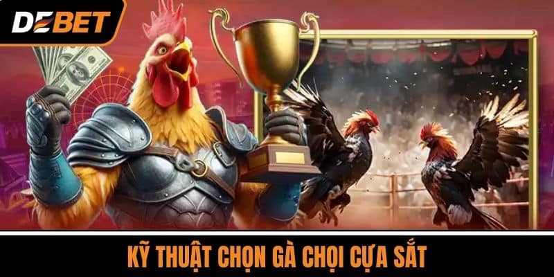 Đá Gà Cựa Sắt - Giải Thích Chi Tiết Cách Chơi Mới Nhất 2025 3 Kỹ Thuật Chọn Gà Chọi Cựa Sắt