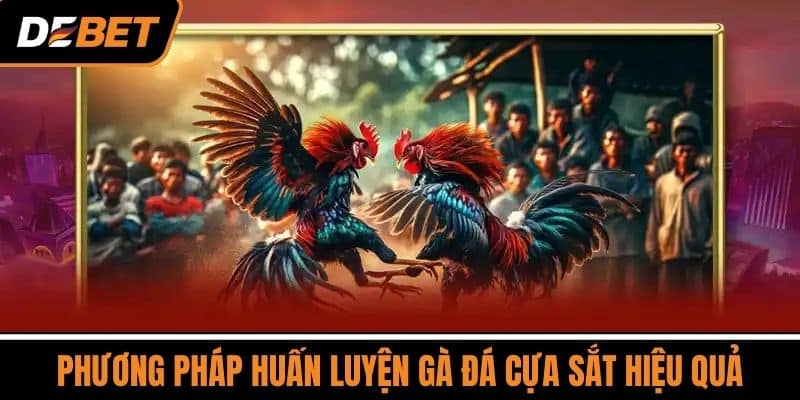 Đá Gà Cựa Sắt - Giải Thích Chi Tiết Cách Chơi Mới Nhất 2025 4 Phương Pháp Huấn Luyện Gà Đá Cựa Sắt Hiệu Quả