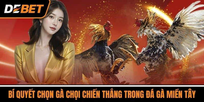 Đá Gà Miền Tây - Sân Chơi Đá Gà Online Số 1 Việt Nam 4 Bí Quyết Chọn Gà Chọi Chiến Thắng Trong Đá Gà Miền Tây