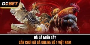 Đá Gà Miền Tây - Sân Chơi Đá Gà Online Số 1 Việt Nam